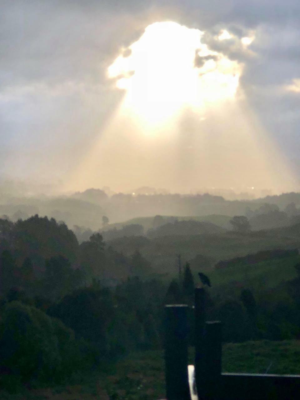 טאורנגה Arohanui Rural Retreat B&B מראה חיצוני תמונה