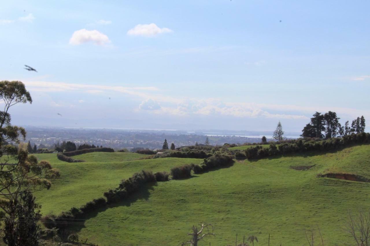 טאורנגה Arohanui Rural Retreat B&B מראה חיצוני תמונה